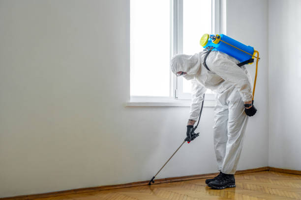 Best Insect Control  in Harrison, NY