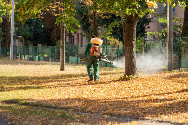 Best Best Pest Control Companies  in Harrison, NY